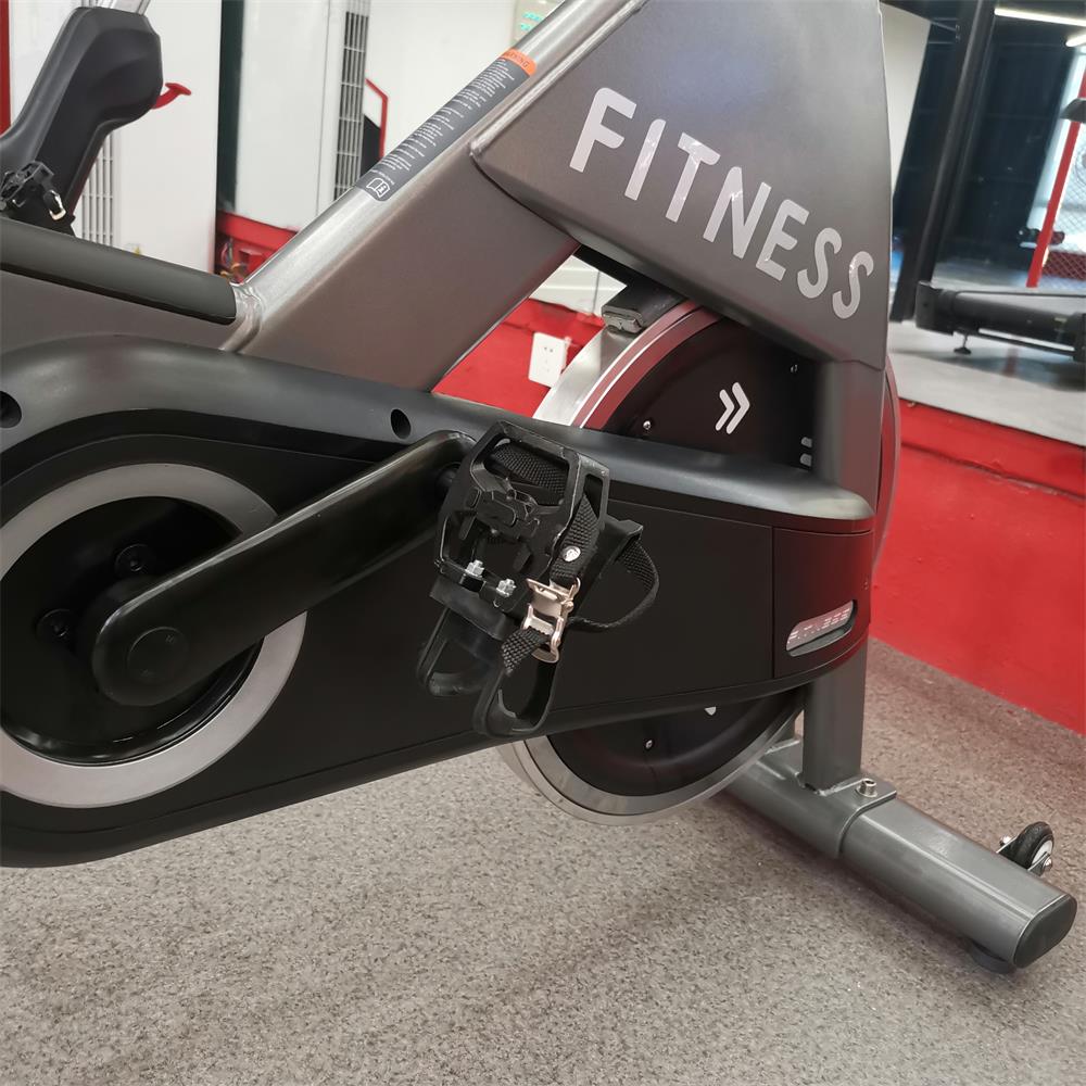 Produsen Peralatan Kebugaran D - Exercise Bike Magnetic Resistance ulasan dan harga