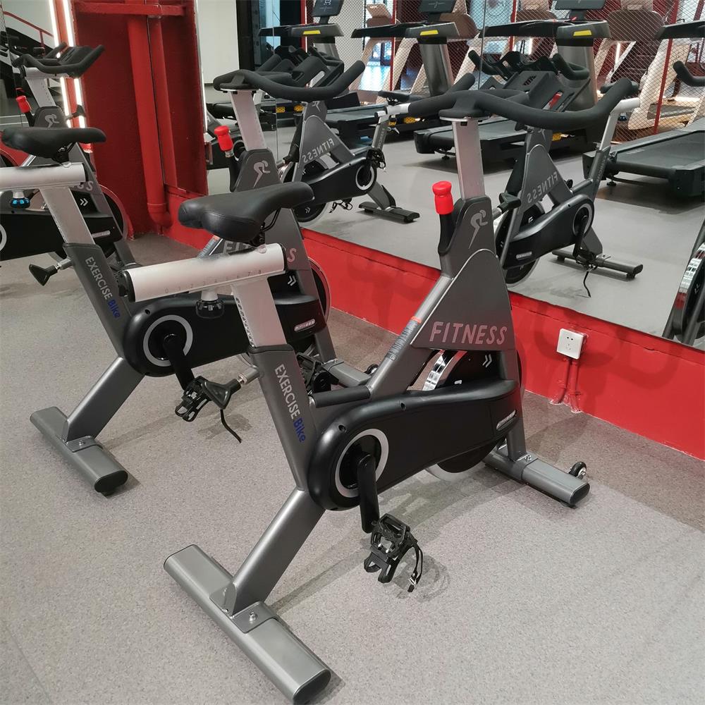 Produsen Peralatan Kebugaran D - Exercise Bike Magnetic Resistance ulasan dan harga